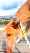 GREICY Image 3
